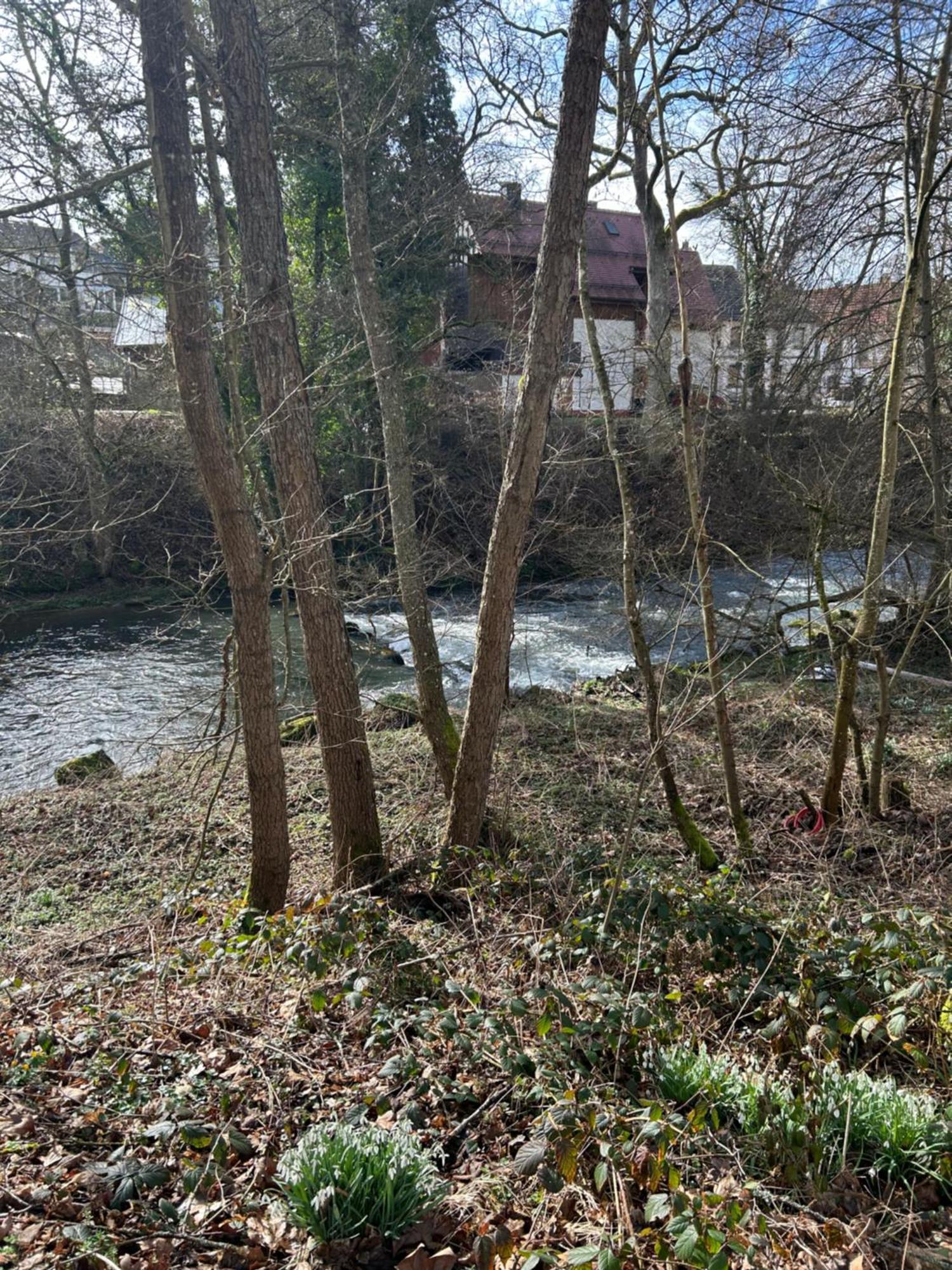 Villa Am Fluss Πφορτζχάιμ Εξωτερικό φωτογραφία
