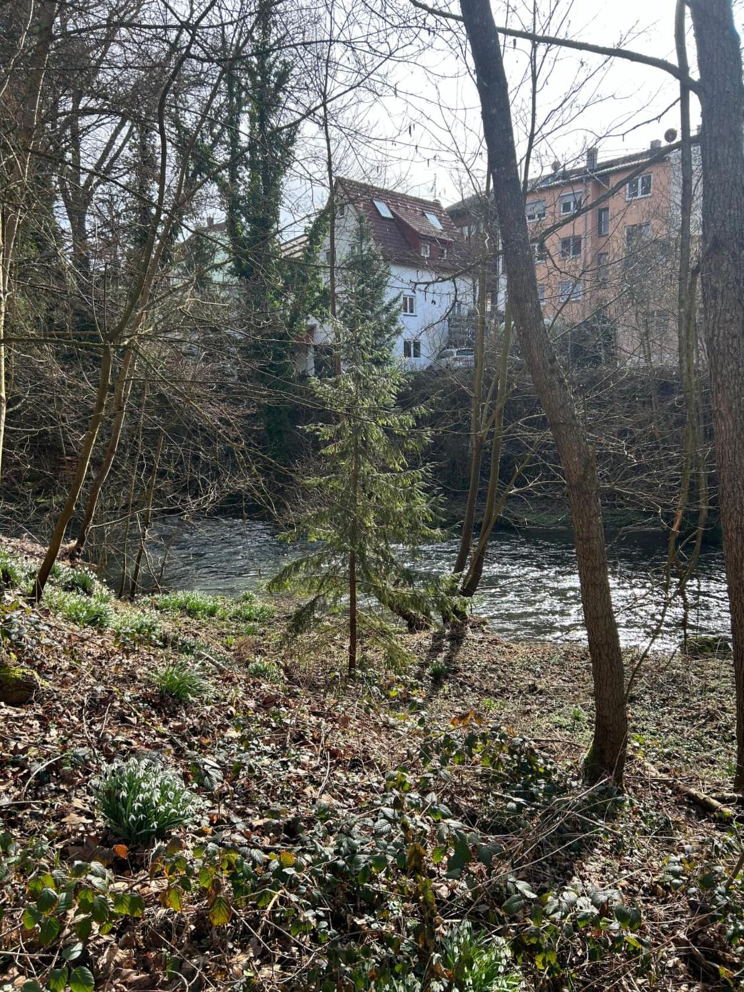 Villa Am Fluss Πφορτζχάιμ Εξωτερικό φωτογραφία